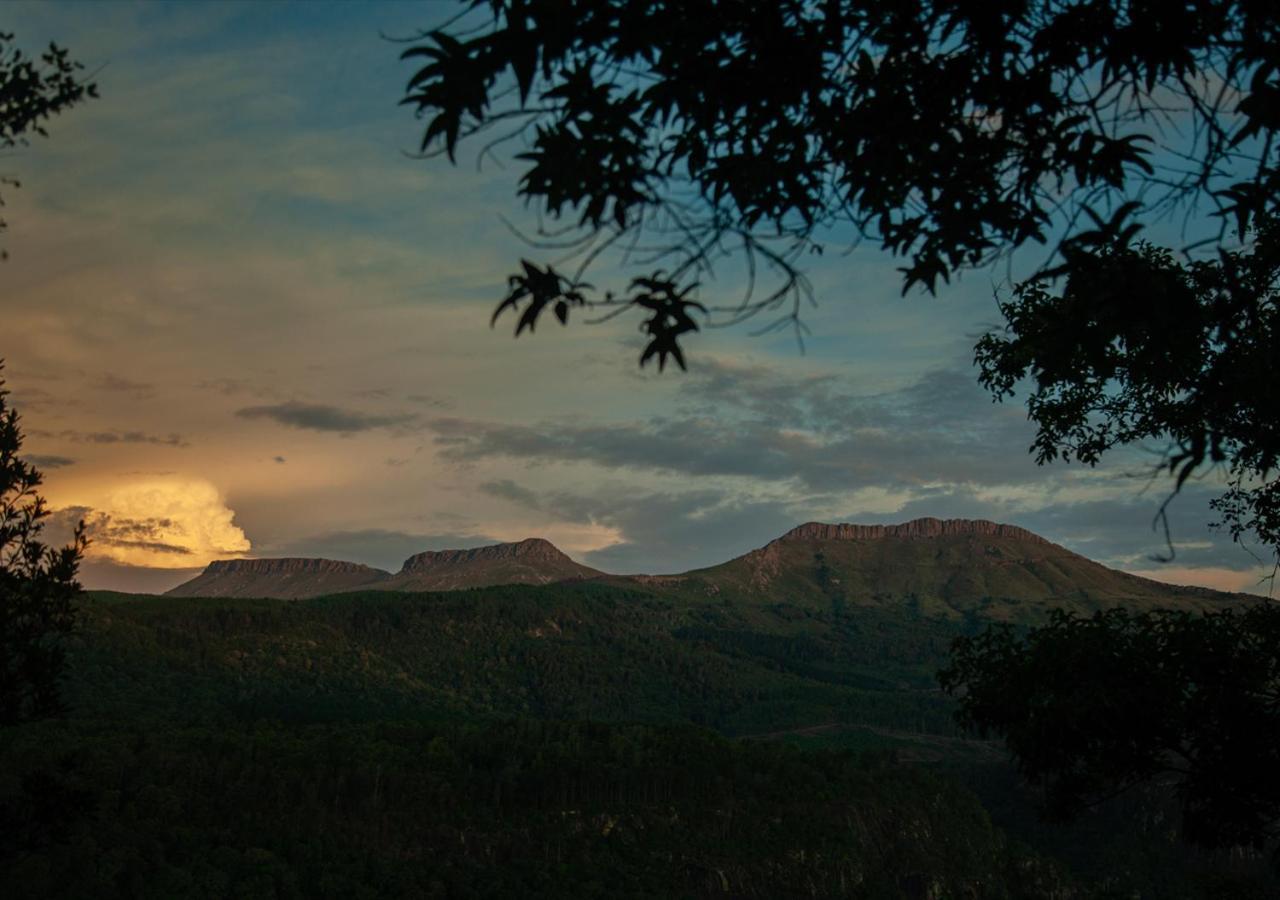 Away With The Fairies Nature Lodge And Backpackers Hogsback Kültér fotó